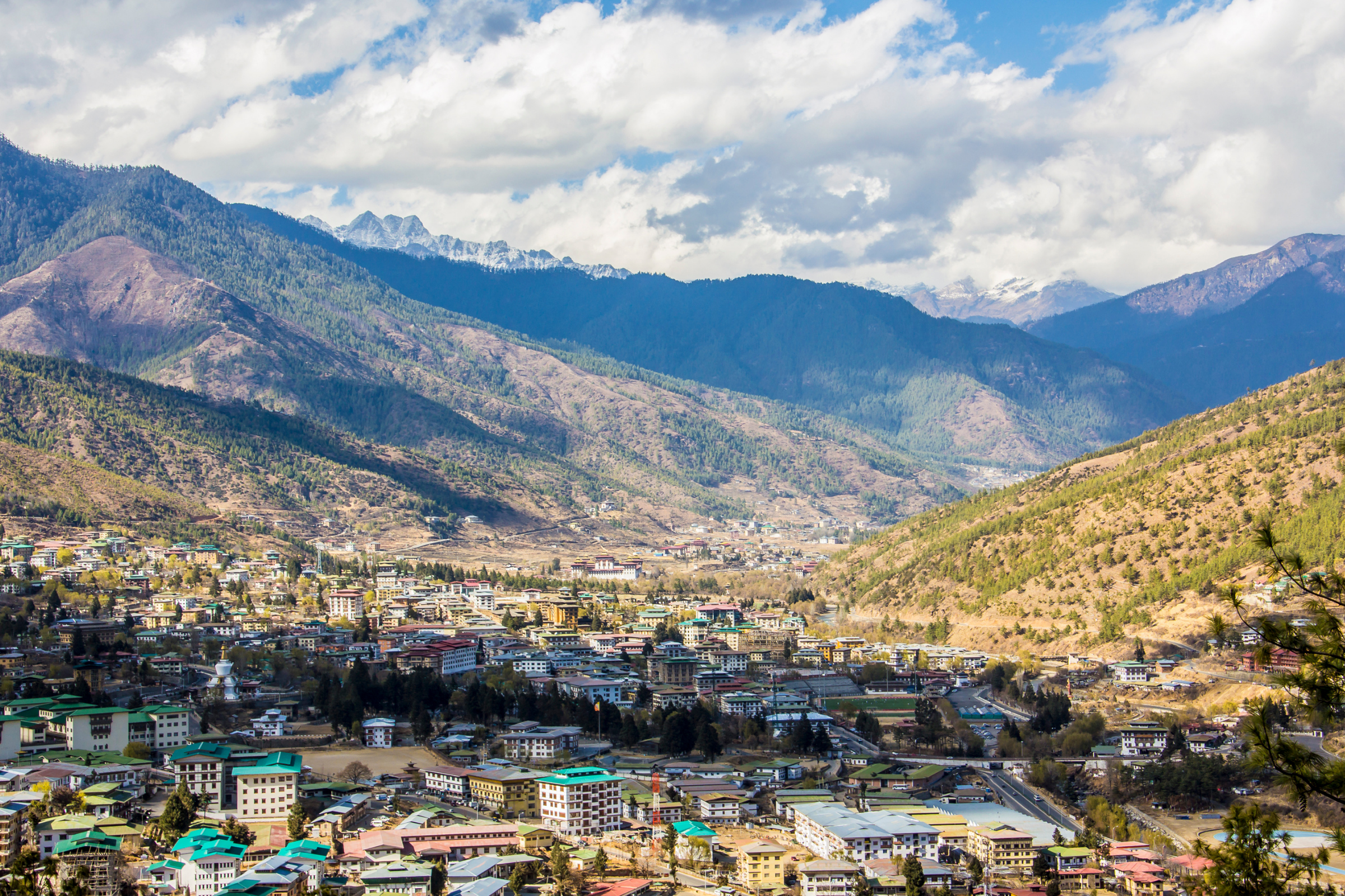 thimpu (4).webp
